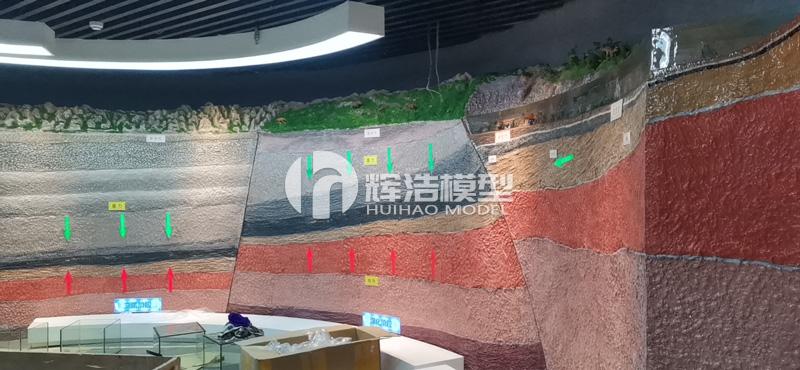 煤的形成仿真地层墙.jpg